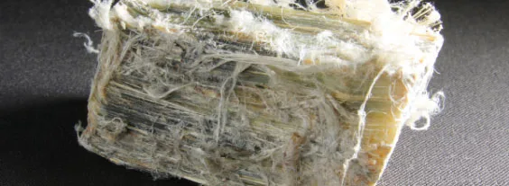 Chrysotile Asbestos