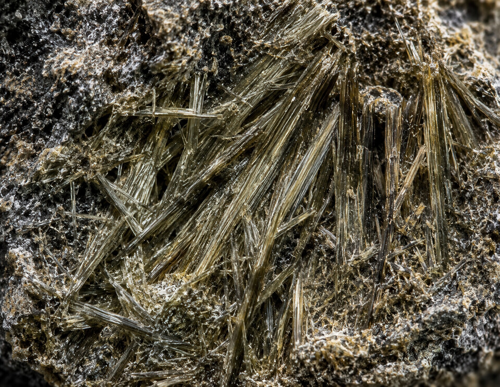 automated asbestos removal 1